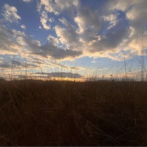 Meet your Posher, Leightyn